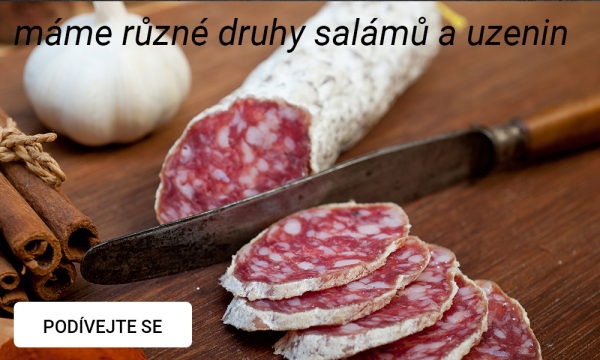 primavyber.cz