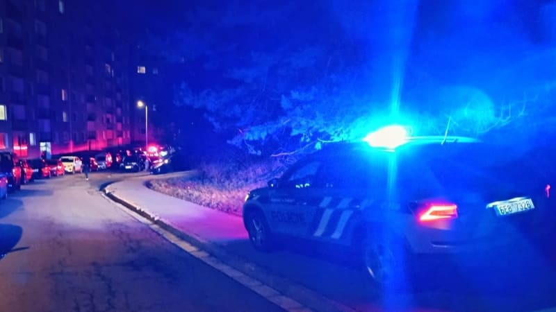 Násilná smrt ženy v Karlových Varech: Policie zadržela podezřelého muže