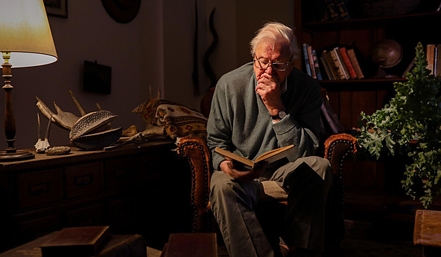 Tajemství skrytá v zahradách. David Attenborough je představí v novém seriálu